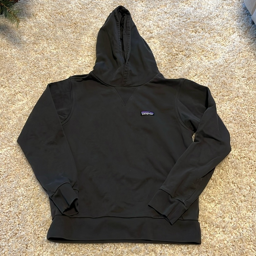 Like New Patagonia Hoodie